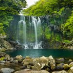 {hienthi_nhomsanpham}